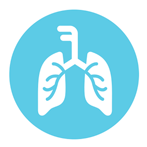 سينجولير أقراص ، أكياس للأطفال ( SINGULAIR )